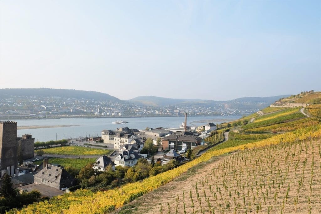 Rhein Rรผdesheim Weinberge - Bild von Unikke Travel auf Pixabay
